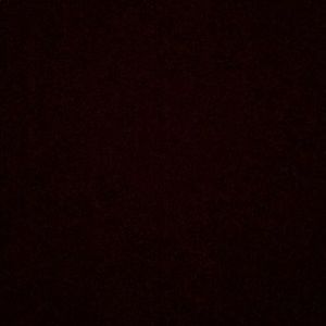 Meet your Posher, Letty